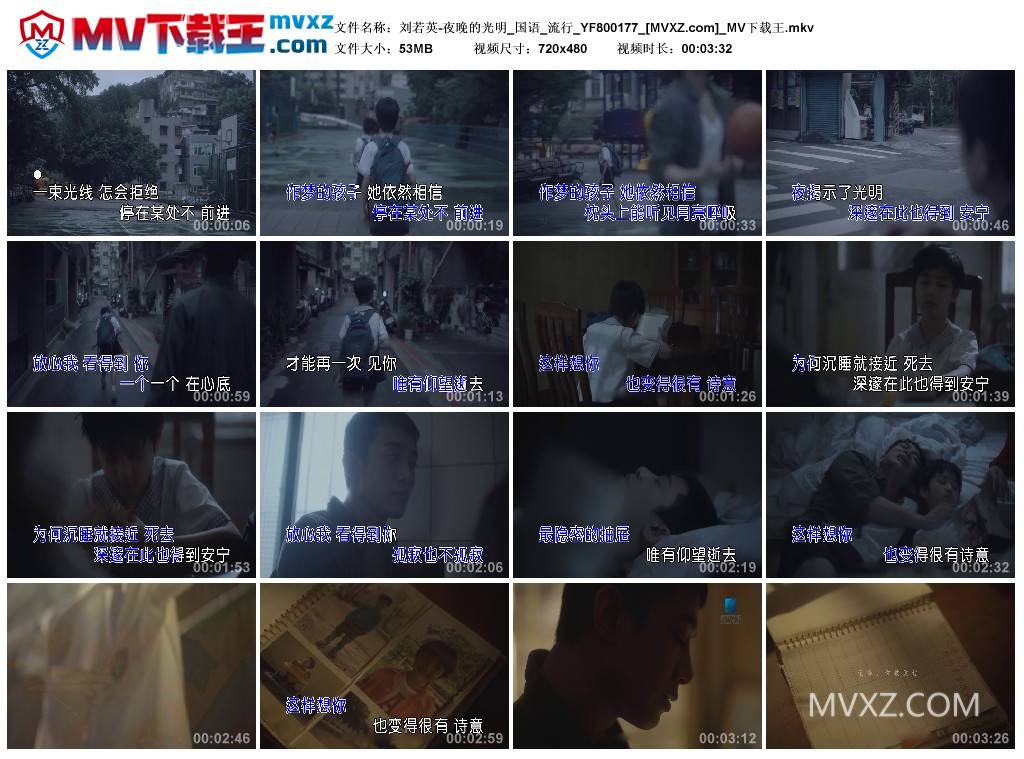 刘若英-夜晚的光明_国语_流行_YF800177